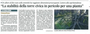 pianta_fico_c_adria_20151227